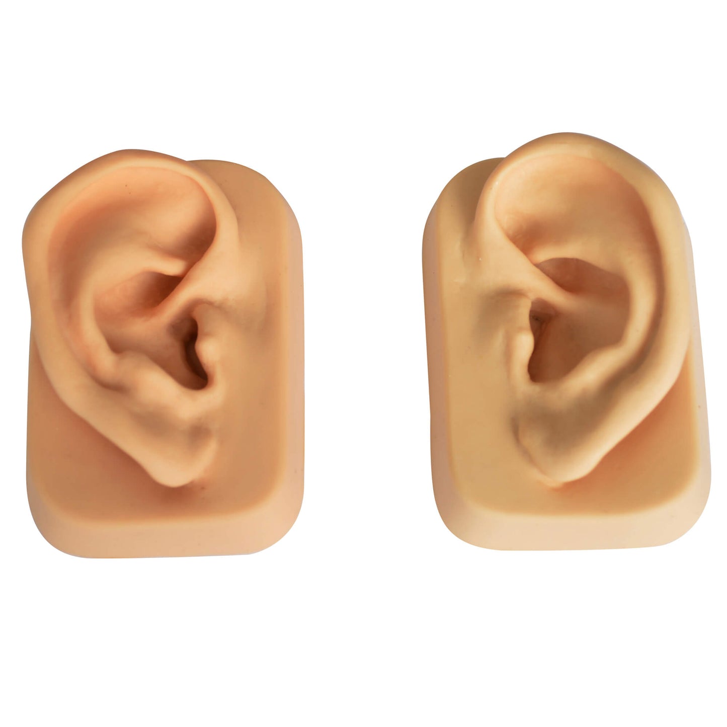 Ear model (paar) beige