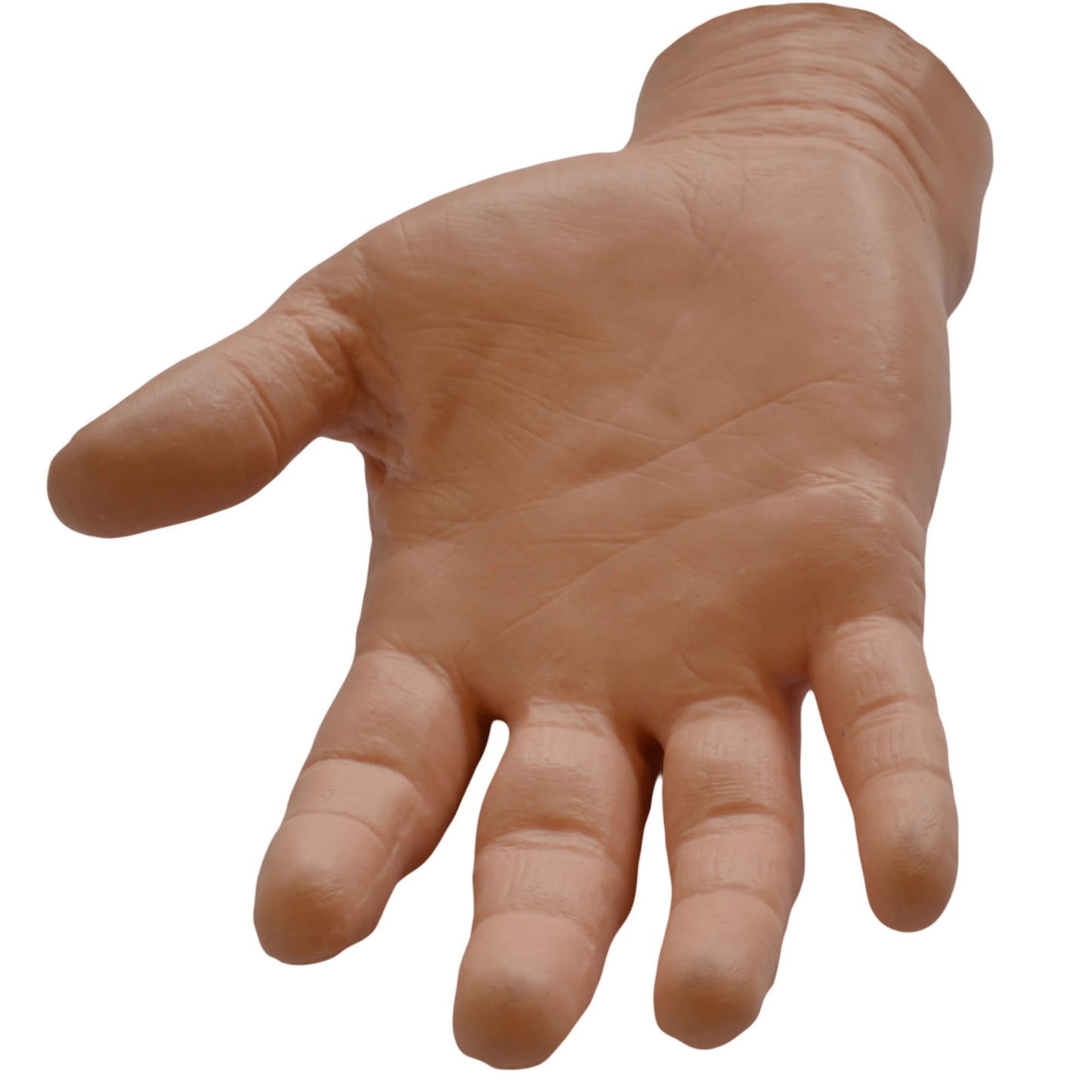 Hand model 13 cm