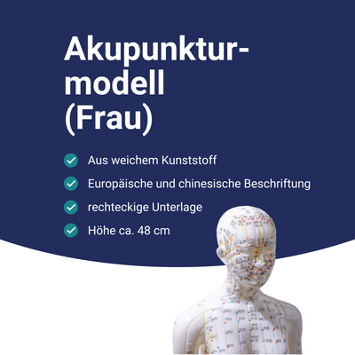 Acupunctuur model (vrouw)